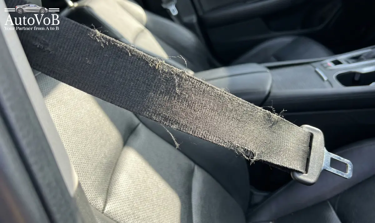 Frayed Seat Belt in Cars