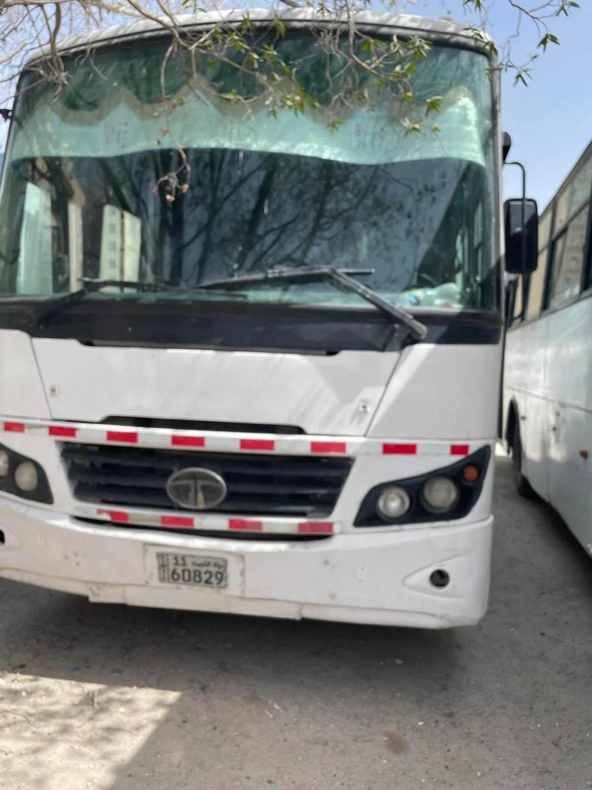 TATA BUS AND ASHOK LEYLAND BUSES FOR SALE