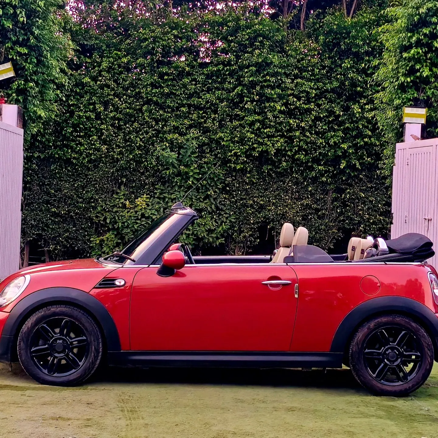 MINI COOPER CONVERTABLE
