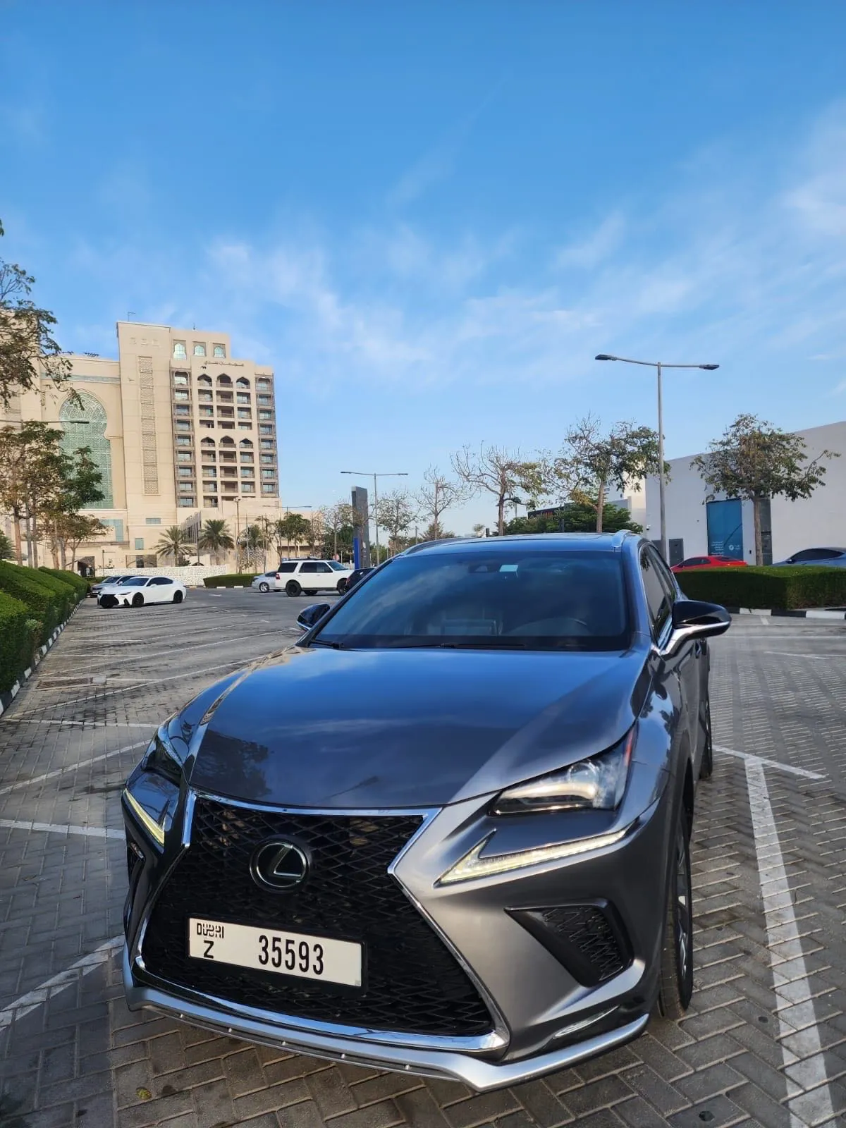 LEXUS  NX300 FSPORT