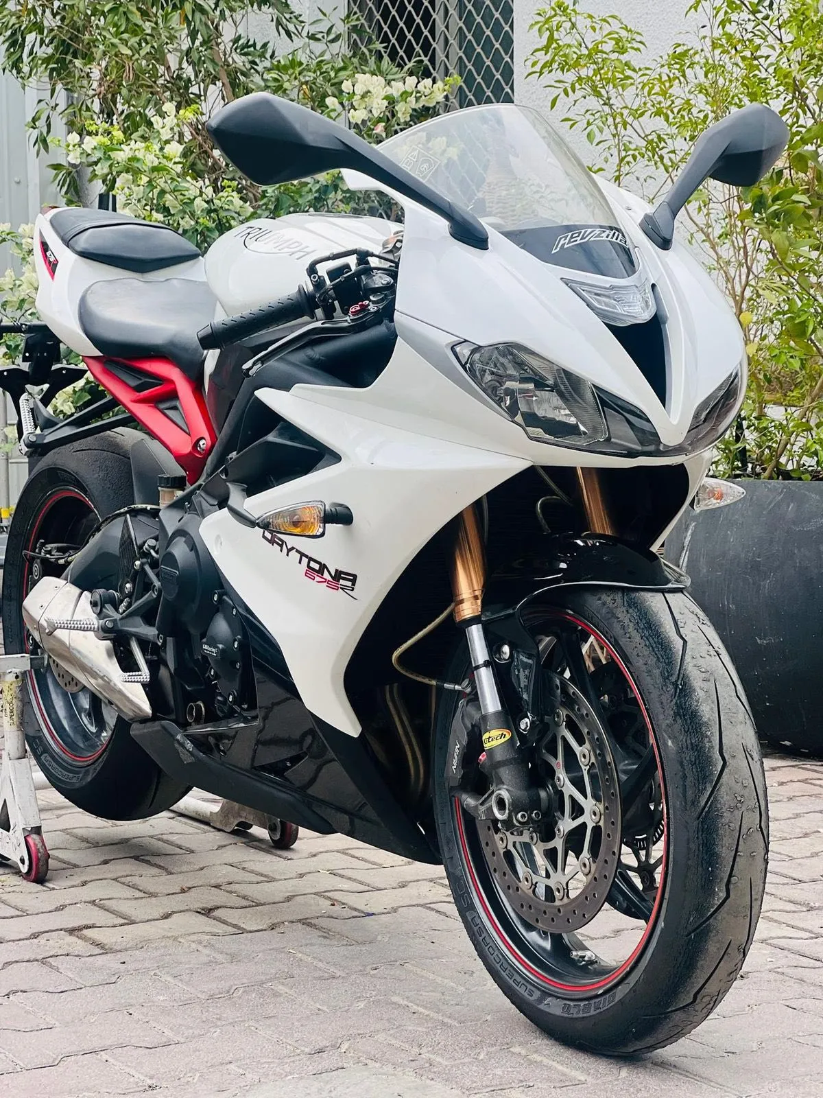 TRIUMPH DAYTONA