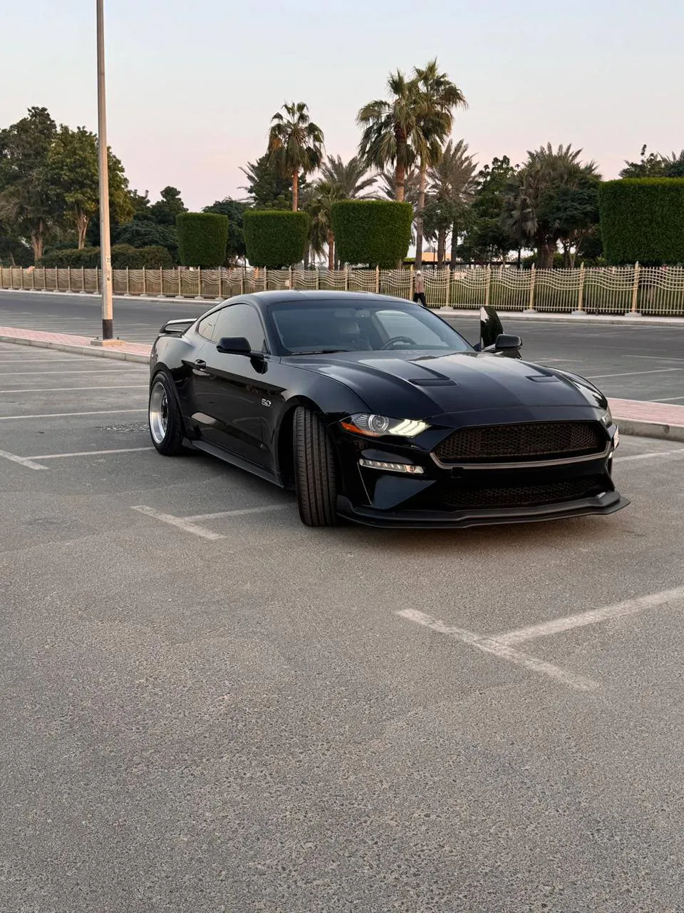 FORD MUSTANG