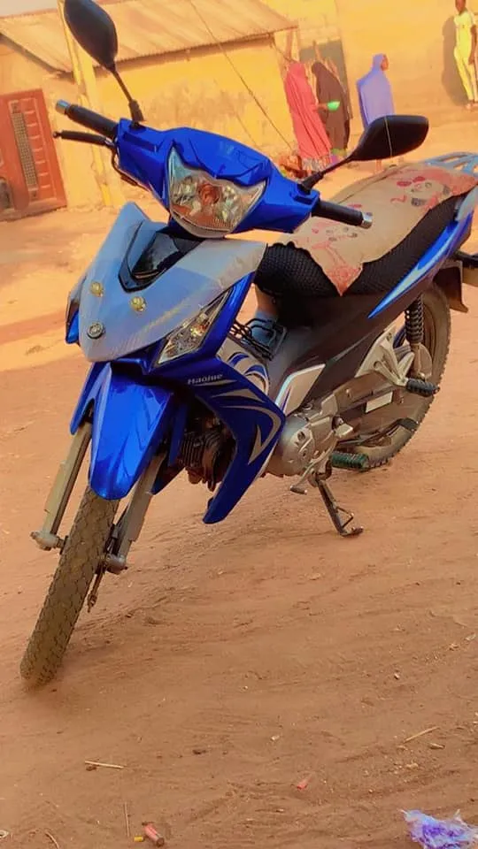 HAJUA LUCKY PLUS