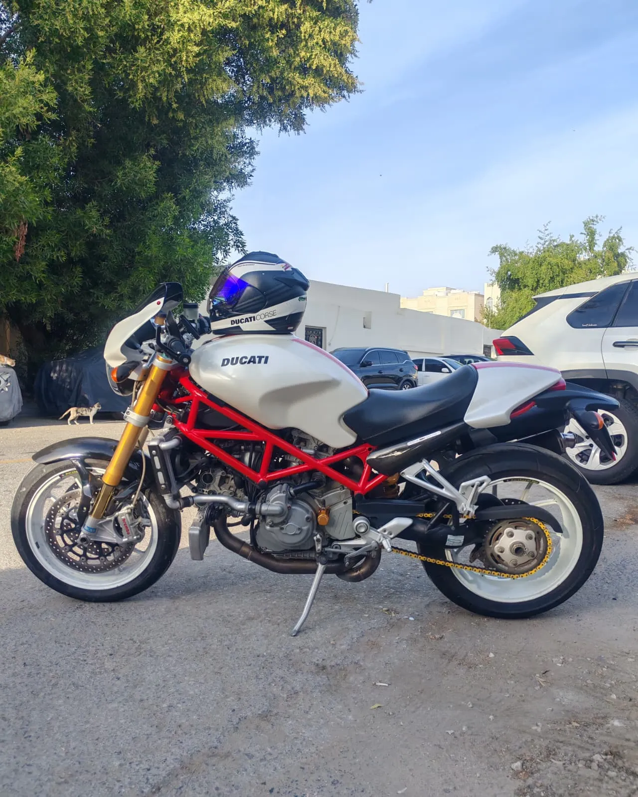 DUCATI S4RS TESTASTRETTA 2008