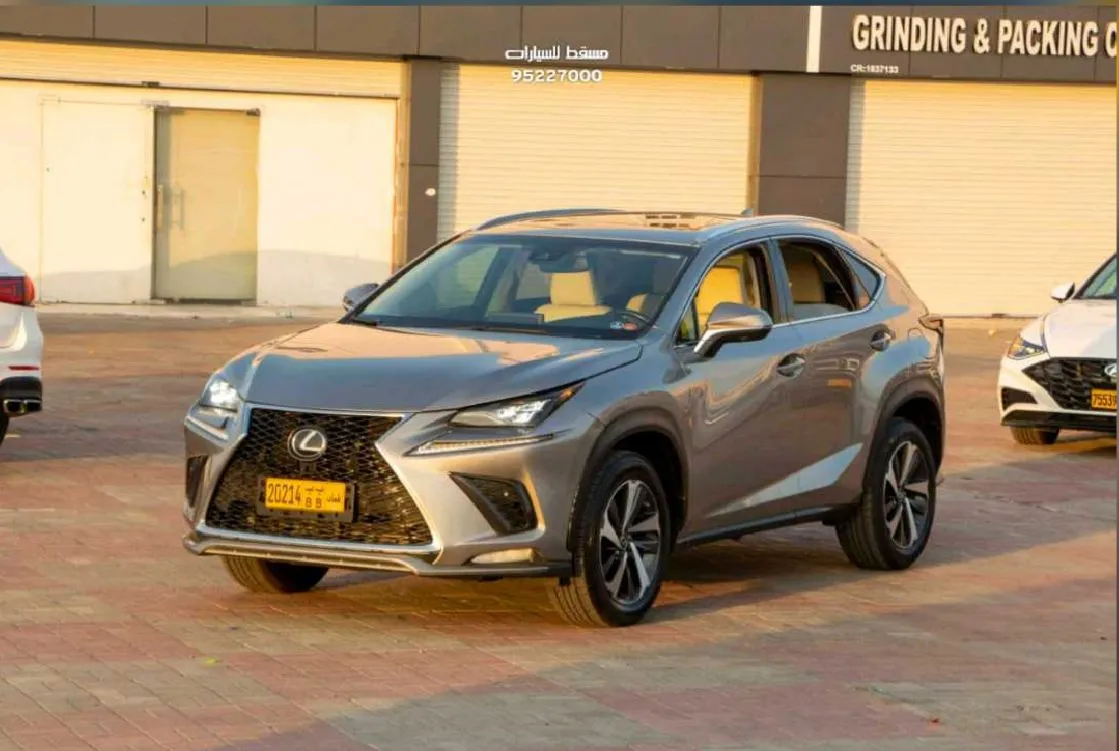2018 LEXUS NX 300