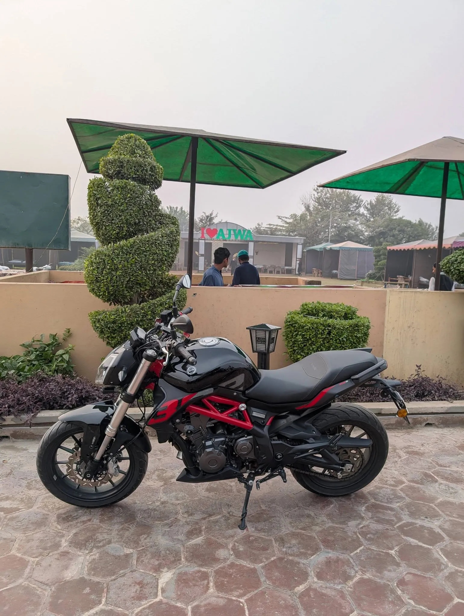 BENELLI 302S