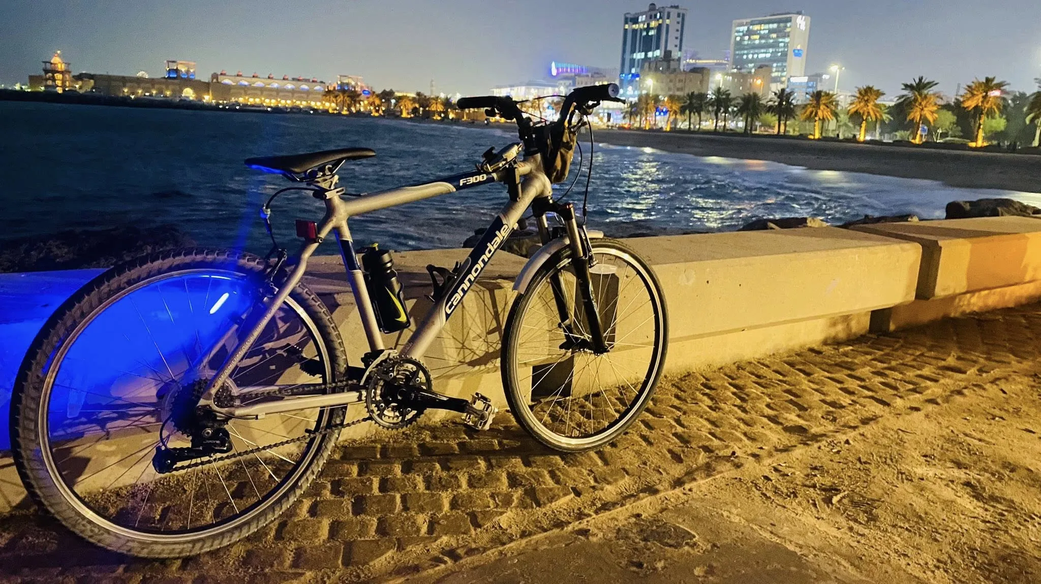 CANNONDALE F300
