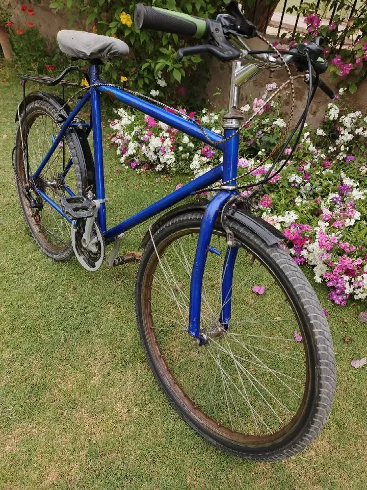 HYBRID GEAR BICYCLE