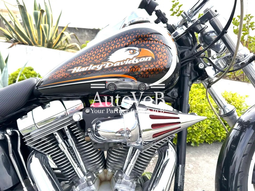 HARLEY-DAVIDSON SOFTAIL photo 3