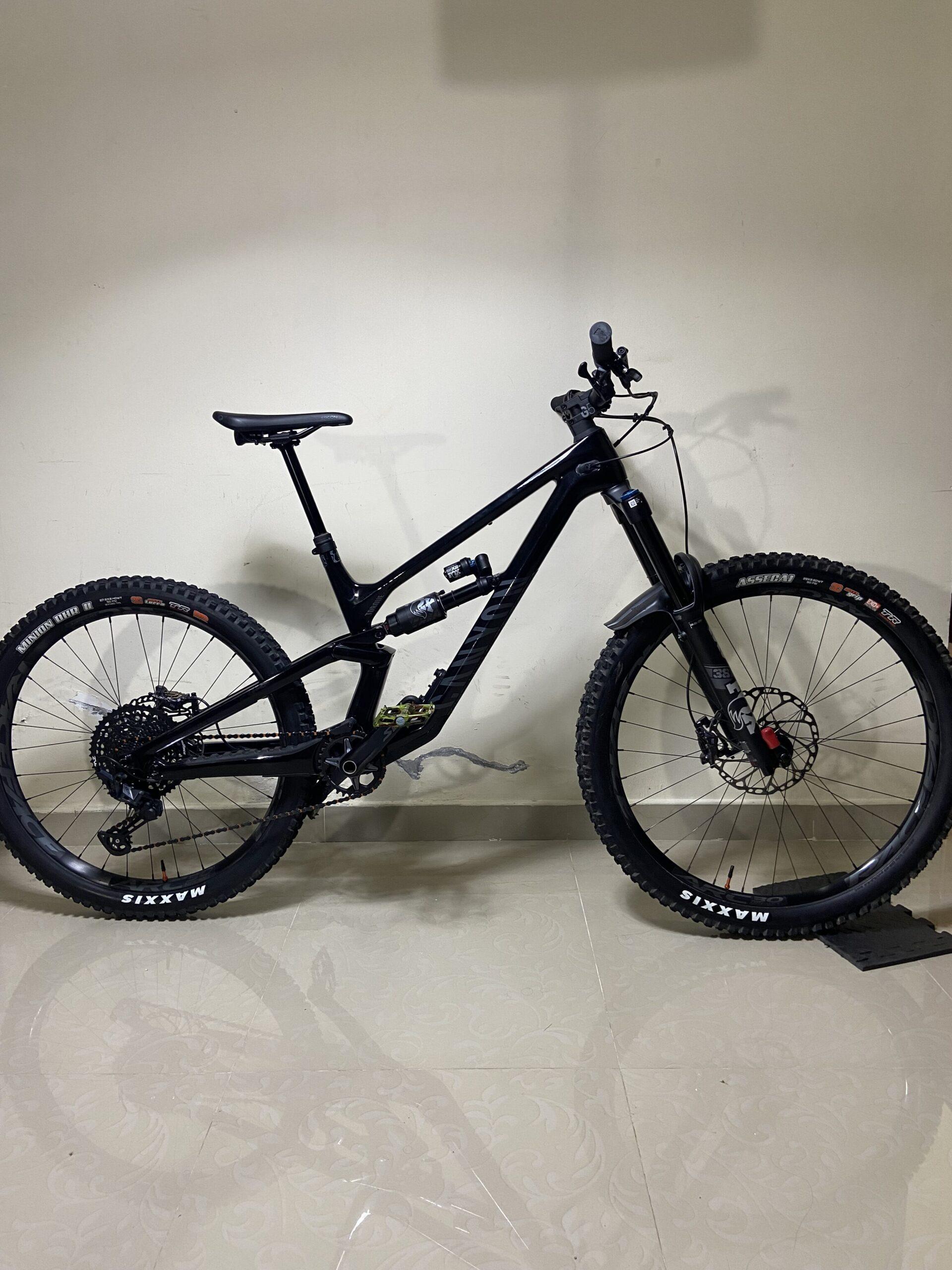 CANYON TORQUE CF MULLET