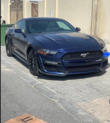 mustang 2019