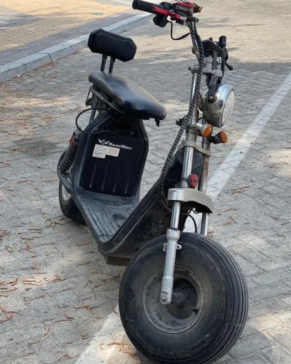 Harley model 2023