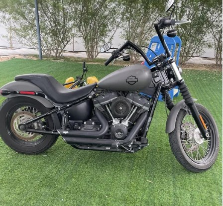 Harley street bob clean whatsapp