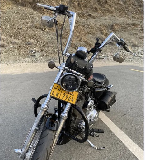 harley davidson custom 1200cc