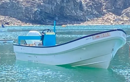 Al-Vannah boat for sale, 25 feet 2018
