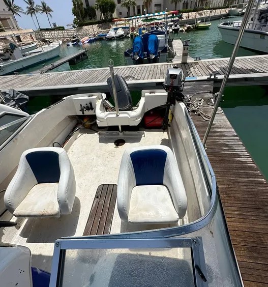 15ft American pleasure boat with tractor for sale