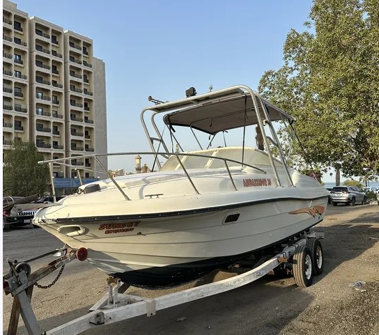 Ambassador 25 ft