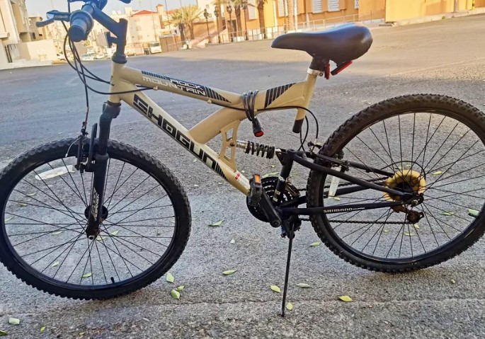 Sport bike