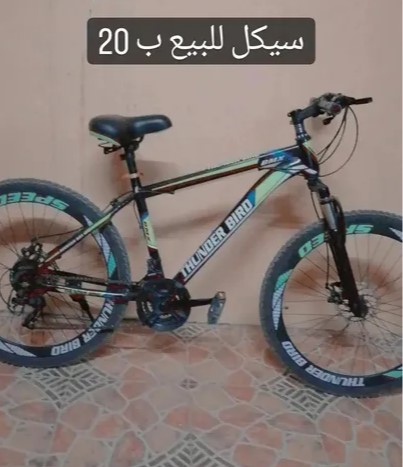 bicycle Thunder bird