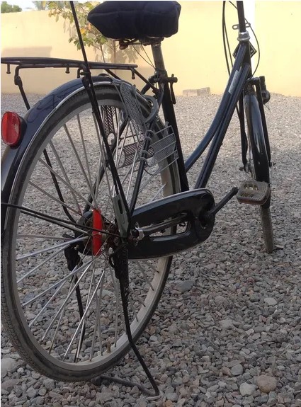 Japanese cycle
