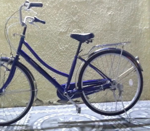 truck cycle