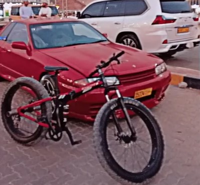 fat bike for sale