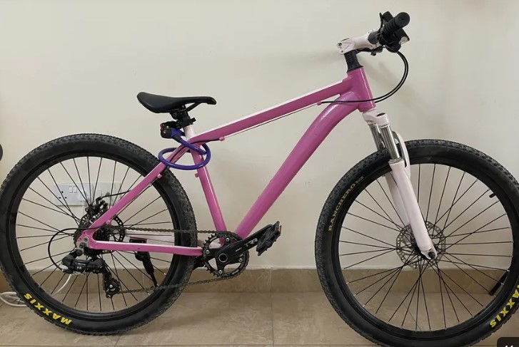CUSTOMIZE BIKE