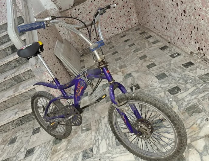 Bike size 20