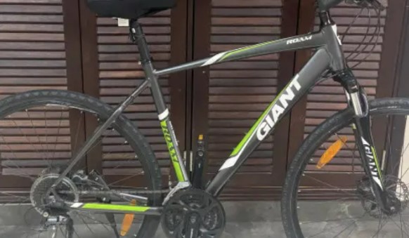 GIANT ROAM