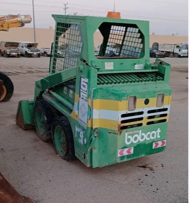 Bobcat's senses 95